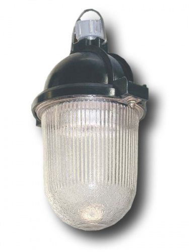Светильник НСП 11-100-414 подвесной на крюк/трубу IP52 (77701279)