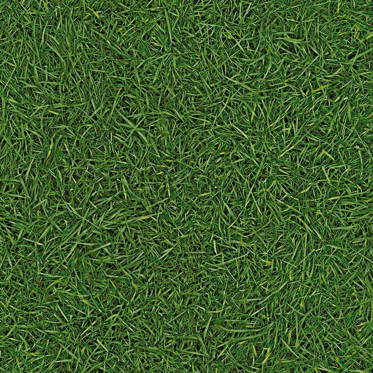 Линолеум полукоммерческий IVC VISION Grass T25