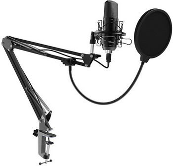Студийный микрофон Ritmix RDM-169 Black