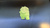 Панель интерактивная New Touch Android 11 диагональю 55 дюймов #3