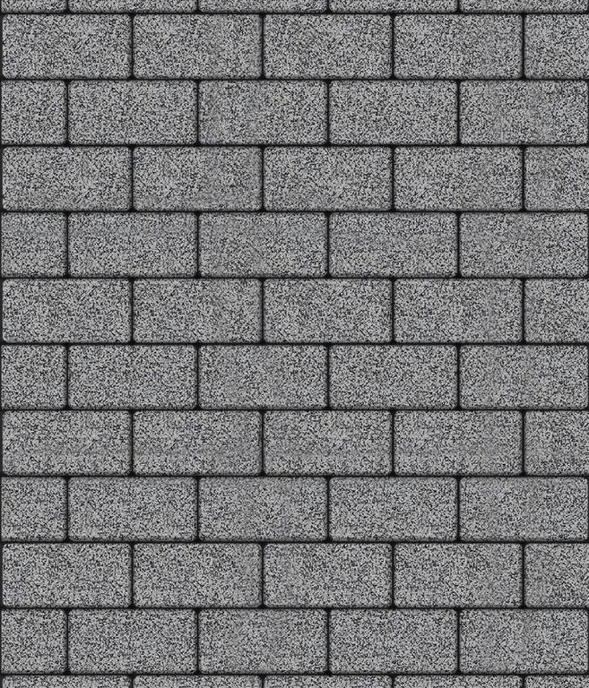 Тротуарная плитка ЛА-ЛИНИЯ, Гранит, Серый с черным, 100*200, высота 60
