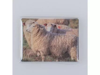 Магнит на холодильник "Две овечки" арт. CHO21129