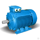 Электродвигатель АИР(А) о 250М2 2081
