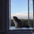 Кошачий балкончик съемный на пластиковое окно #2