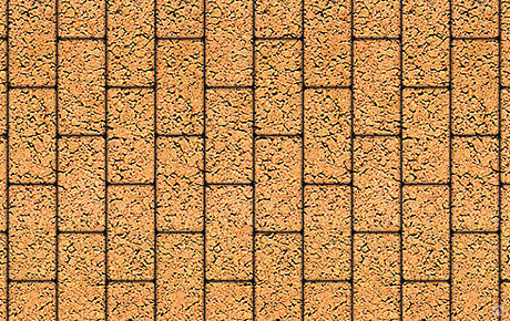 Плитка тротуарная прямоугольник Б.2.П.8 100х200 80 мм Листопад гладкий Саха
